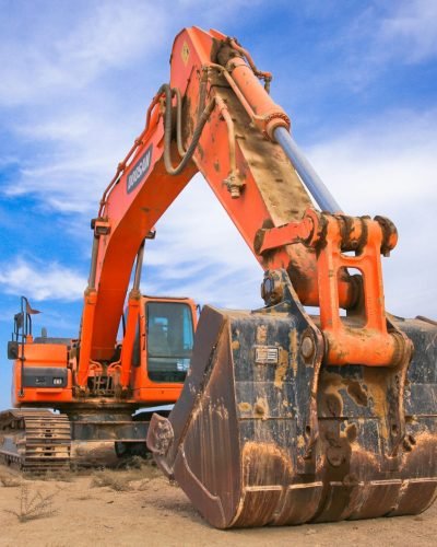 pexels-rezwan-1078884 pexels-rezwan-1078884